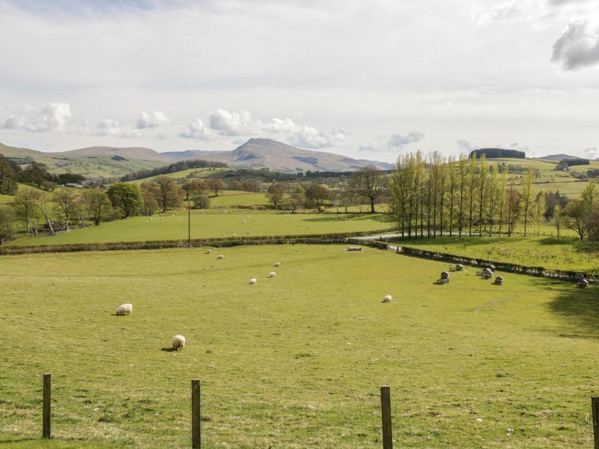 Cyffdy Cottage - Aran Llanycil Экстерьер фото